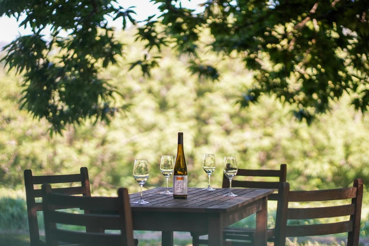 בית הארחה Refoios do Lima 	Wine Tourism - Quinta Do Ameal מראה חיצוני תמונה