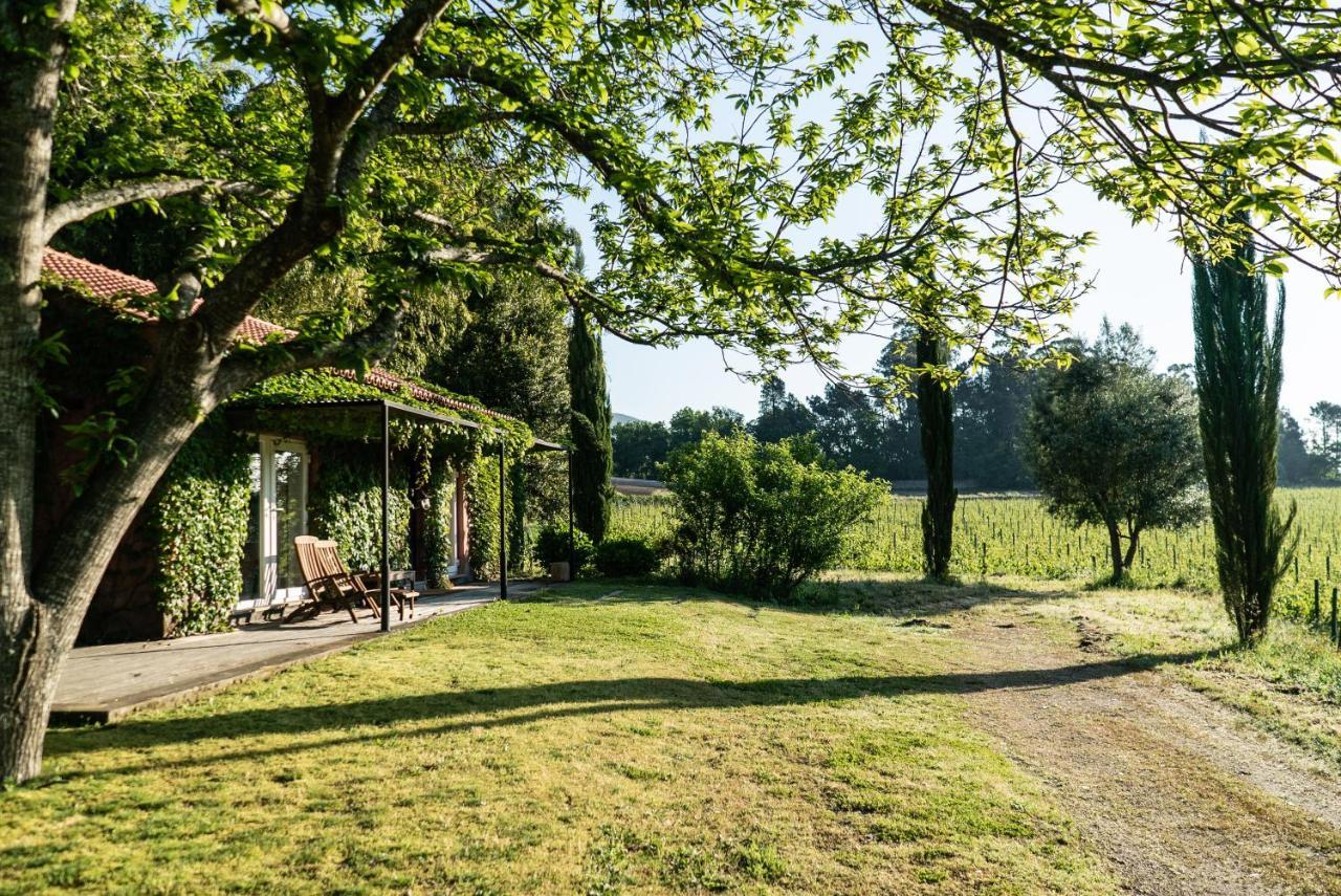 בית הארחה Refoios do Lima 	Wine Tourism - Quinta Do Ameal מראה חיצוני תמונה