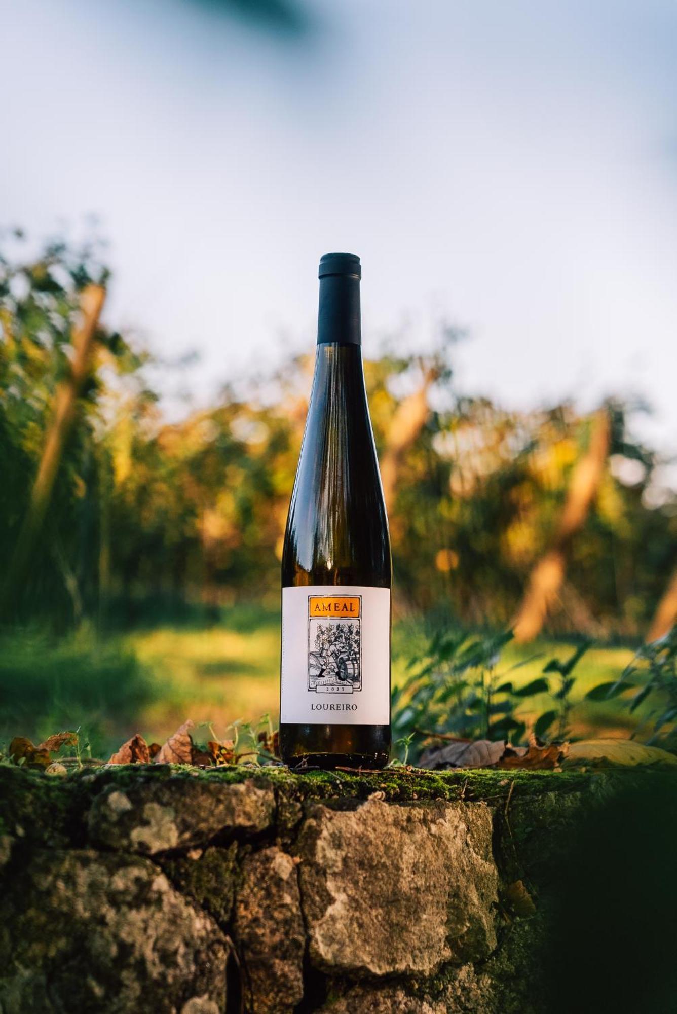 בית הארחה Refoios do Lima 	Wine Tourism - Quinta Do Ameal מראה חיצוני תמונה